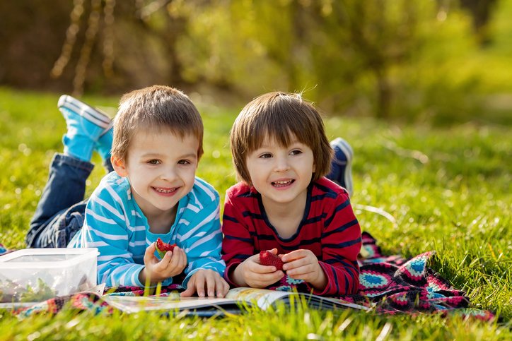 Two adorable cute caucasian boys, lying in the park in a fine sunny afternoon, reading a book and eating strawberries, educating themselves and having fun