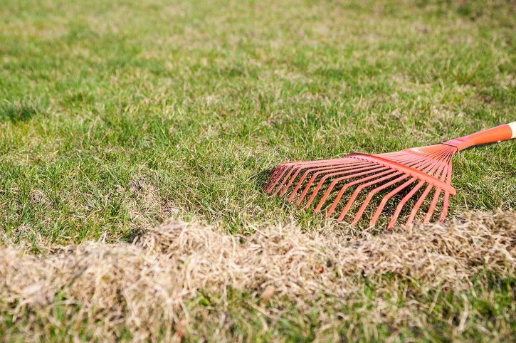 The man at the raking grass in the garden at springtime