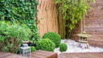 Japanese garden with bamboos and stone lantern
