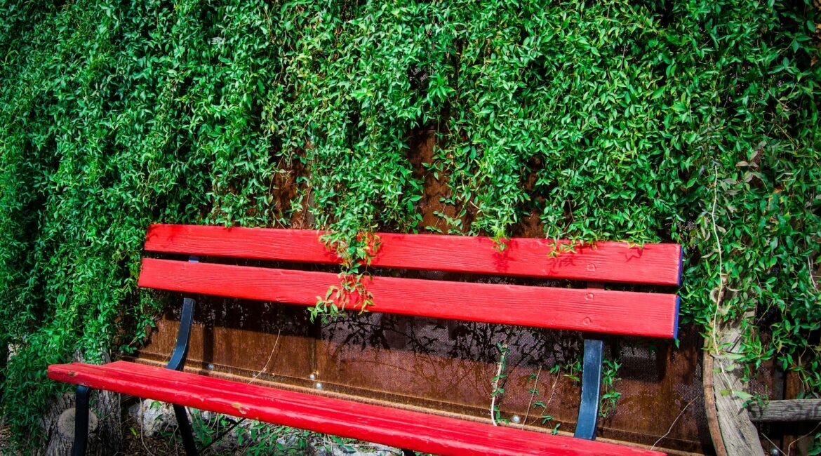 wooden bench