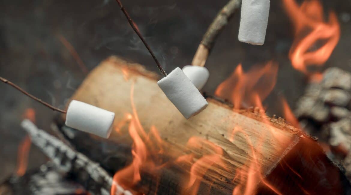 roasting smores in fire pit