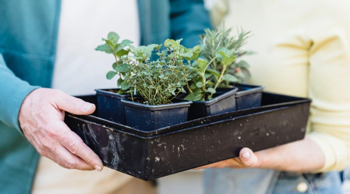 container gardening
