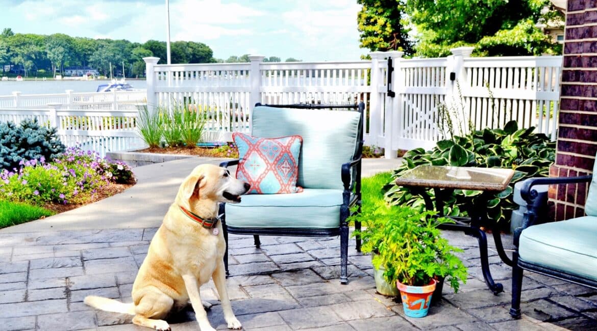 pet-friendly patio