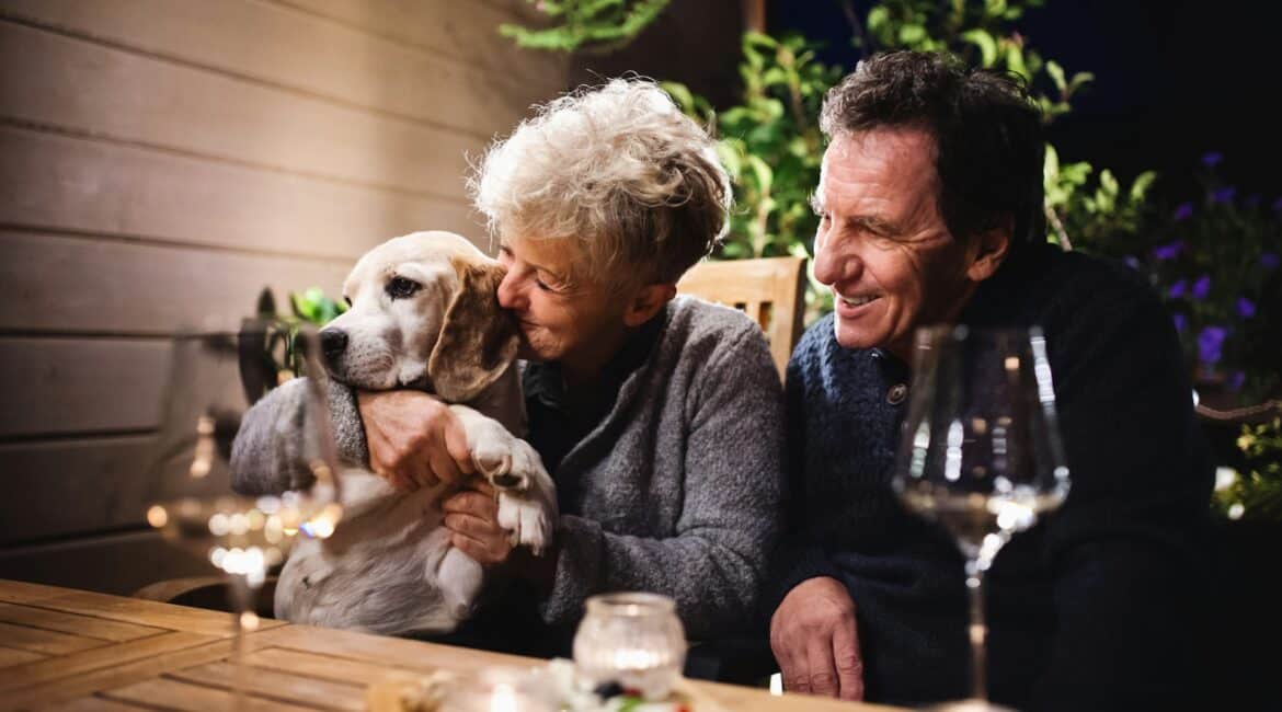 pet-friendly patio furniture