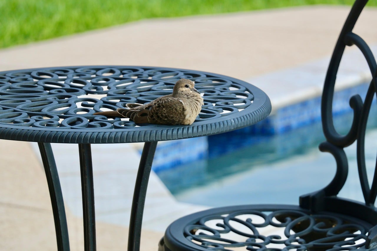 HDPE side table next to an outdoor reading chair on a Florida patio with tropical plants in the background