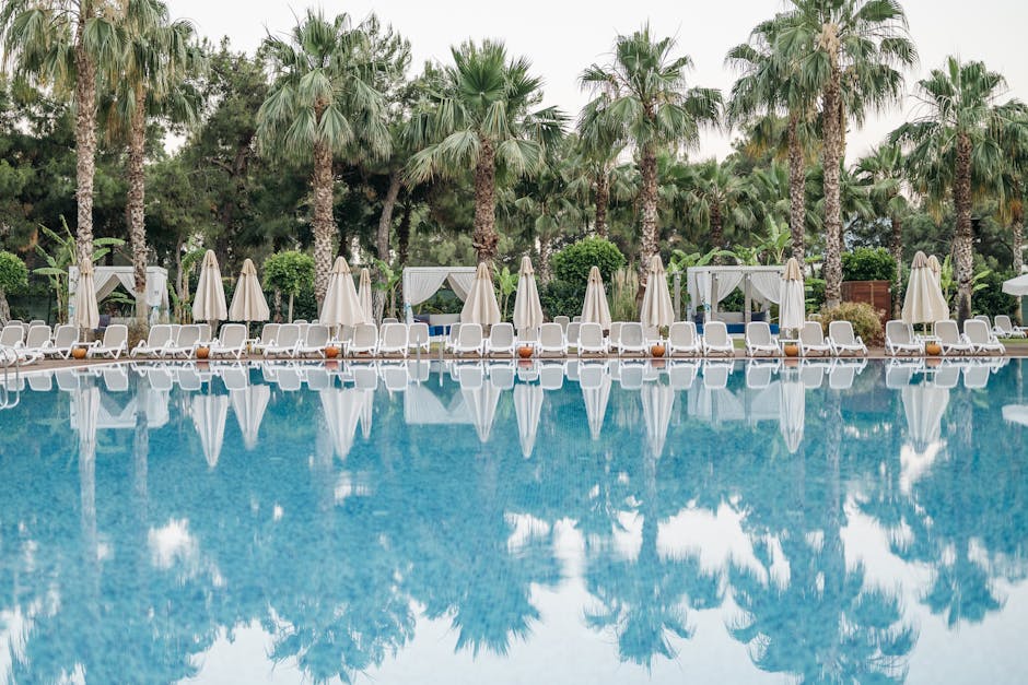 Aluminum sling chairs arranged beside a Florida pool with palm trees and blue water