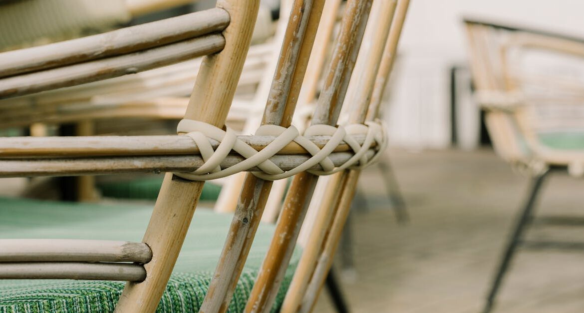 Mold removal outdoor wicker furniture florida