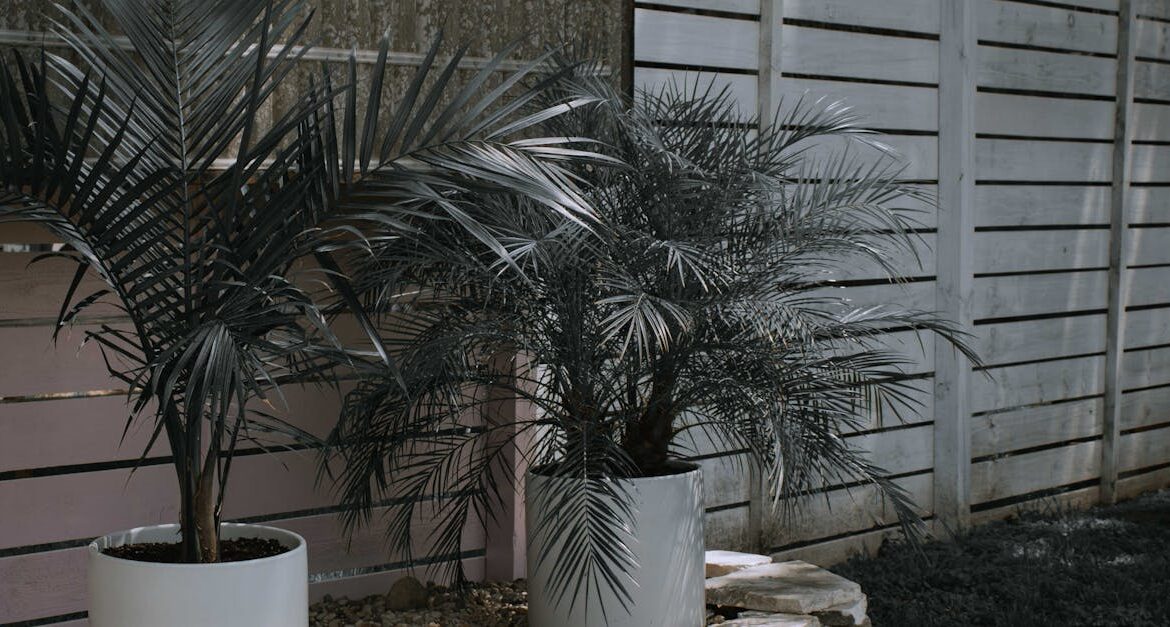 Plant based patio decor outdoor florida